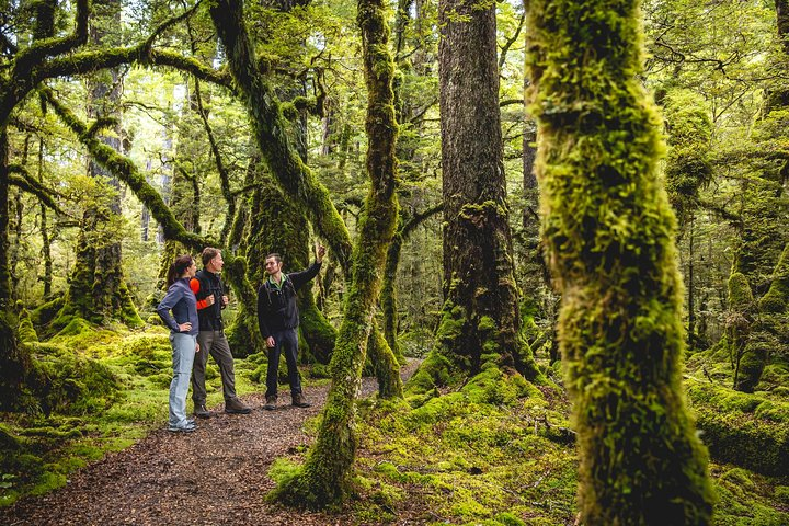 There is a walk for everyone along the way.